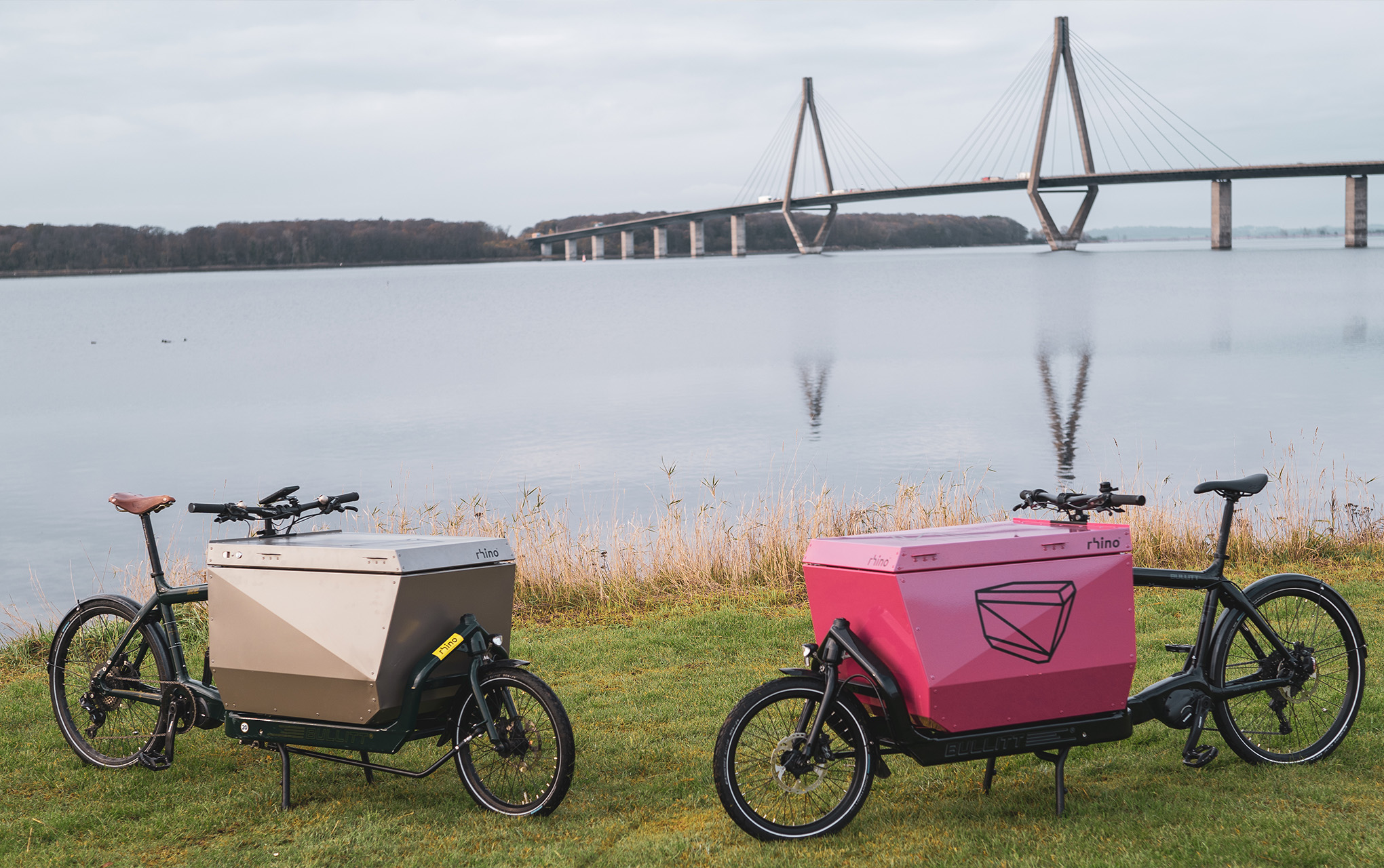 Cargo box for store bike